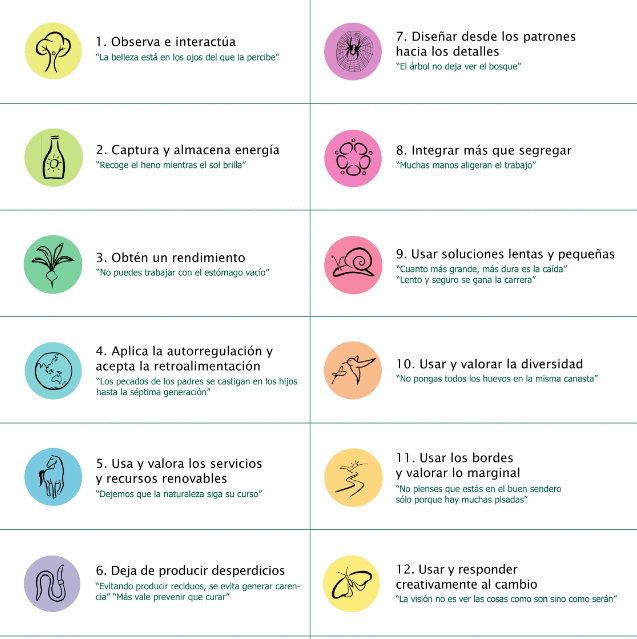 principios-de-disec3b1o-pc